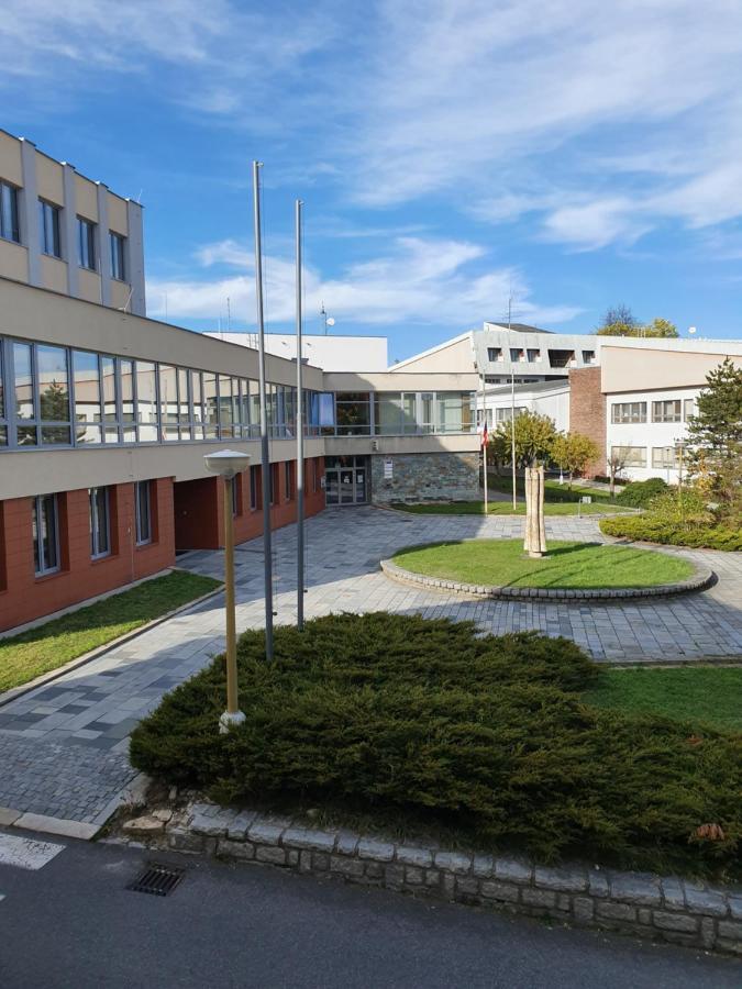 Apartmany U Lva Prachatice Exterior foto